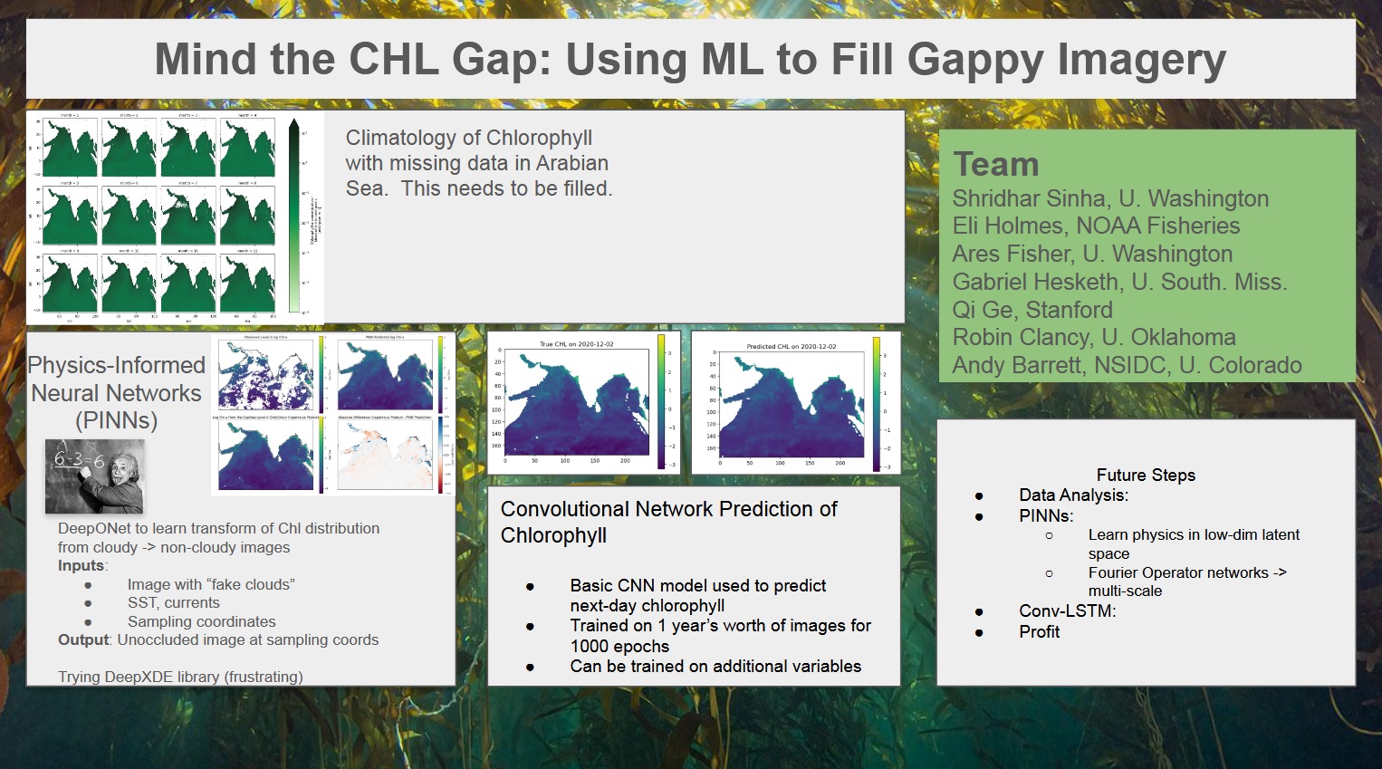 Mind the Chl Gap Poster